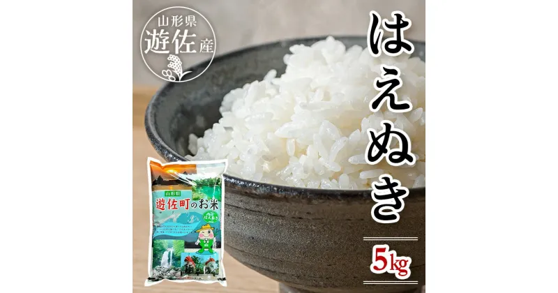 【ふるさと納税】はえぬき 5kg×1袋 令和6年産米 山形県遊佐産 ご希望の時期頃お届け 東北 遊佐町 庄内地方 庄内平野 米 お米 精米 白米 庄内米 ごはん ご飯 セット 発送時期が選べる