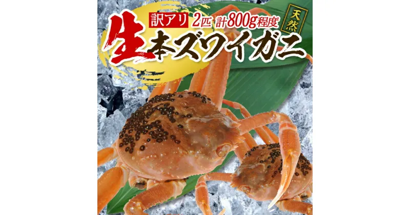 【ふるさと納税】訳あり 生・本ズワイガニ 2匹 計800g程度 1～2本足折れ 遊佐沖 10月中旬～12月下旬頃お届け 冷蔵便 ※着日指定・離島（沖縄県を含む）発送不可 わけあり 訳アリ ワケアリ ワケあり カニ 蟹 かに 海産物 海鮮 新鮮 まるごと 生食 刺身 ボイル 期間限定