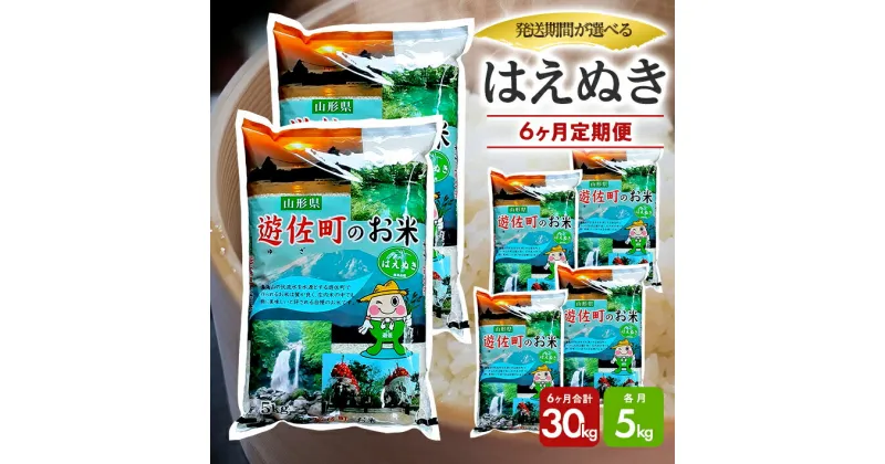 【ふるさと納税】≪6ヶ月定期便≫ はえぬき 5kg×6ヶ月連続 計30kg 山形県遊佐産 ご希望期間の毎月中旬頃お届け 東北 遊佐町 庄内地方 庄内平野 米 お米 精米 白米 庄内米 ごはん ご飯 セット 連続定期便