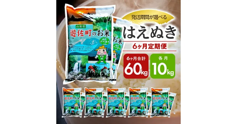 【ふるさと納税】≪6ヶ月定期便≫ はえぬき 10kg×6ヶ月連続 計60kg 山形県遊佐産 ご希望期間の毎月中旬頃お届け 5kg×2袋ずつ 東北 遊佐町 庄内地方 庄内平野 米 お米 精米 白米 庄内米 ごはん ご飯 セット 連続定期便