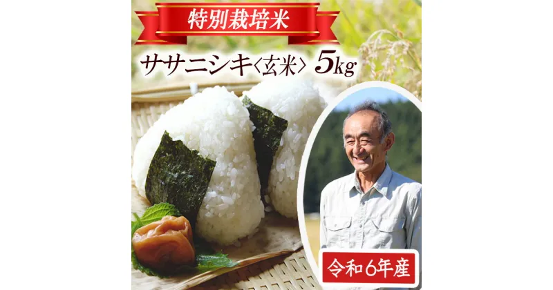 【ふるさと納税】ササニシキ 玄米 5kg×1袋 令和6年産米 特別栽培米 山形県遊佐産 鳥海山の恵 東北 遊佐町 庄内地方 庄内平野 米 お米 庄内米 ごはん ご飯