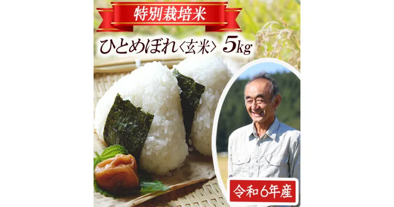 【ふるさと納税】ひとめぼれ 玄米 5kg×1袋 令和6年産米 特別栽培米 山形県遊佐産 鳥海山の恵 東北 遊佐町 庄内地方 庄内平野 米 お米 庄内米 ごはん ご飯