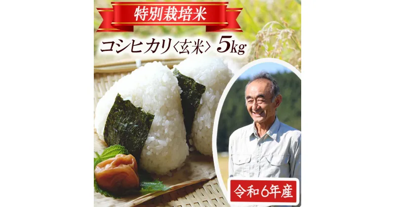 【ふるさと納税】コシヒカリ 玄米 5kg×1袋 令和6年産米 特別栽培米 山形県遊佐産 鳥海山の恵 東北 遊佐町 庄内地方 庄内平野 米 お米 庄内米 ごはん ご飯