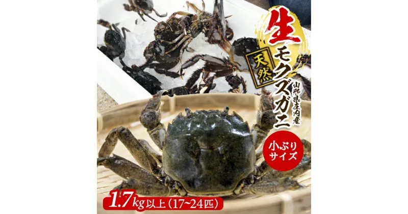 【ふるさと納税】生・天然モクズガニ 1.7kg以上 小ぶりサイズ 17～24匹 オス・メス混合 山形県庄内産 9月中旬～12月上旬頃順次発送 冷蔵便 ※着日指定・離島（沖縄県を含む）発送不可 カニ 蟹 かに 川ガニ 新鮮 鮮魚 まるごと 姿 カニみそ 味噌汁 蒸し蟹 期間限定