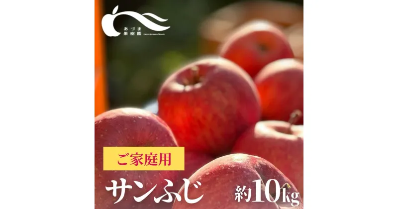 【ふるさと納税】No.0154あづま果樹園 りんご「サンふじ」家庭用約10kg【2024年度発送】