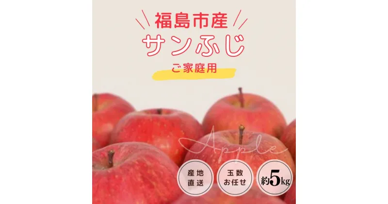 【ふるさと納税】No.1222りんご「サンふじ」【ご家庭用】約5kg【2024年発送】