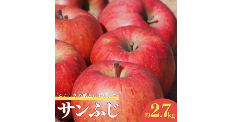 【ふるさと納税】No.1924ふくしまの葉取らずサンふじ 贈答用　2.7kg【2024年度発送】