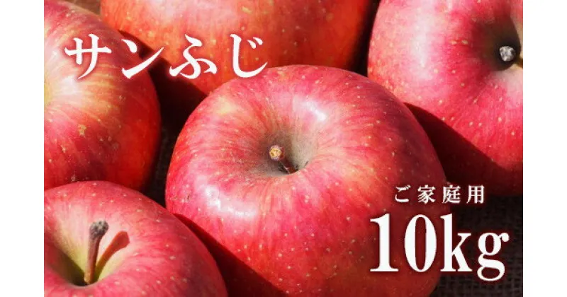 【ふるさと納税】No.2309りんご「サンふじ」家庭用 10kg【2024年度発送】