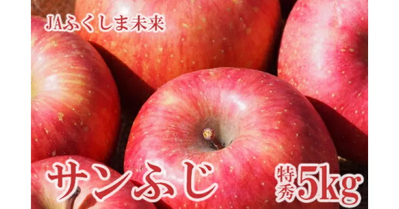 【ふるさと納税】No.2509りんご「サンフジ」 約5kg 特秀14玉〜18玉【2024年度発送】