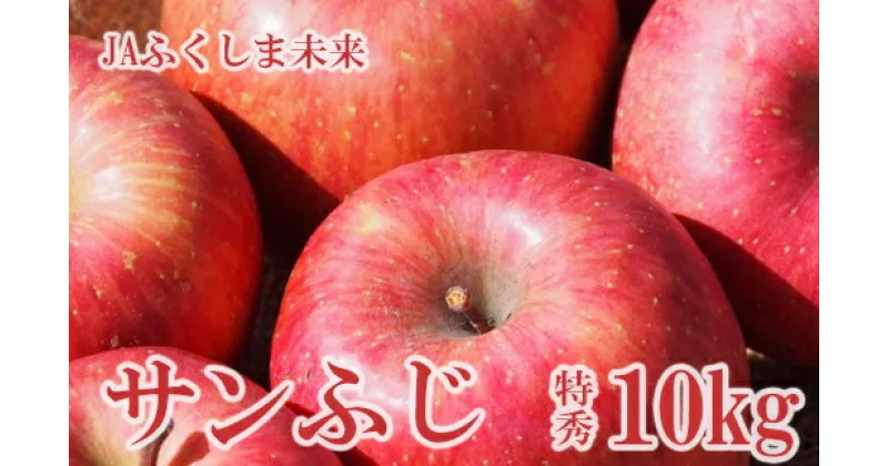 【ふるさと納税】No.2510りんご「サンフジ」 約10kg 特秀28〜36玉【2024年度発送】