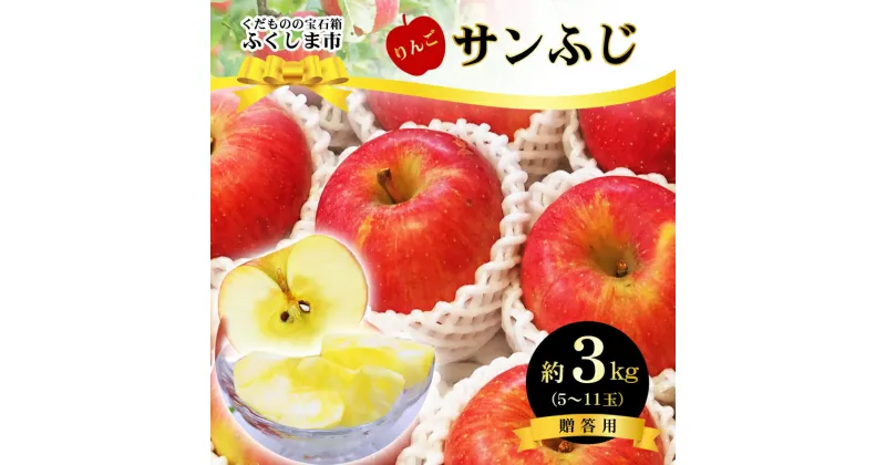 【ふるさと納税】No.2771ふくしまのサンふじりんご　約3kg【2024年度発送】