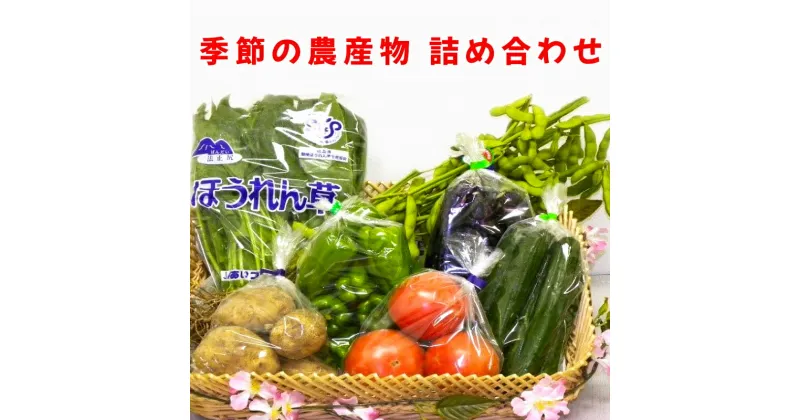 【ふるさと納税】季節の農産物詰め合わせ｜産直 農産物 季節の野菜 やさい 旬の野菜 新鮮 詰合せ [0757]