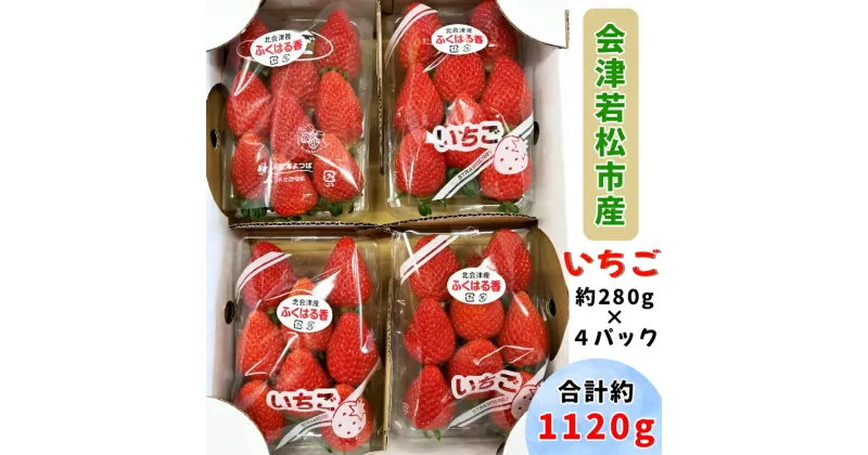 【ふるさと納税】会津若松市産 いちご 1120g｜イチゴ 苺 フルーツ 果物 農協 会津産 会津若松 [0766]