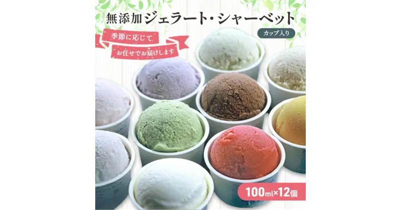 【ふるさと納税】無添加 ジェラート・シャーベット詰合せ 100ml×12個　スイーツ・アイスクリーム・セット