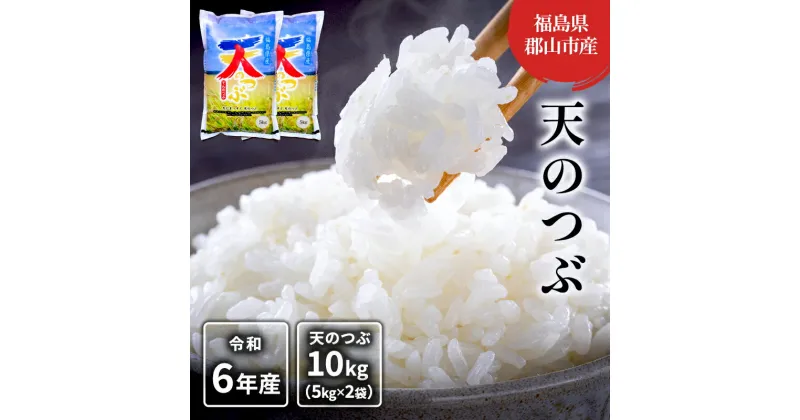 【ふるさと納税】【令和6年産】天のつぶ(白米) 10kg(5kg×2)　 米 お米 こめ コメ 精米 白米 天のつぶ 10kg 令和5年 福島 　お届け：2024年10月10日～2025年10月20日