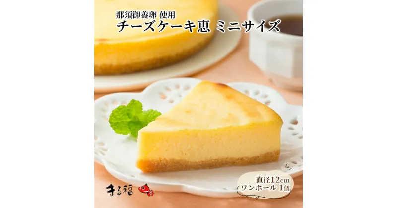 【ふるさと納税】ベイクドチーズケーキ恵 ミニ　【 チーズケーキ ベイクドチーズケーキ ケーキ 洋菓子 焼き菓子 菓子 お菓子 おやつ スイーツ デザート 】