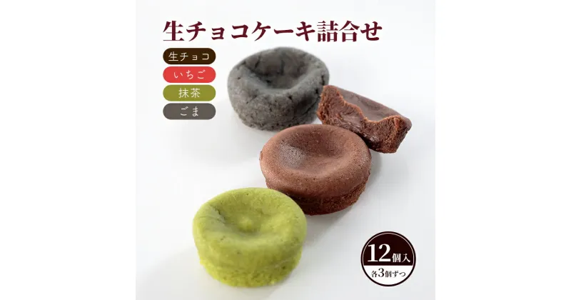 【ふるさと納税】生チョコケーキ詰合せ12個入（生チョコ・いちご・抹茶・ごま）