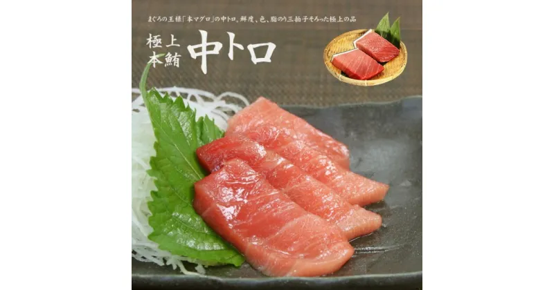 【ふるさと納税】本マグロ中トロ300g　解凍レシピ付　1サクずつ真空包装 脂の甘みと濃厚赤身が絶妙なバランス