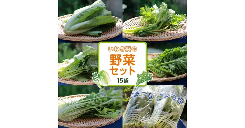 【ふるさと納税】いわき浜の野菜セット（いわき市産の野菜詰め合わせセット）