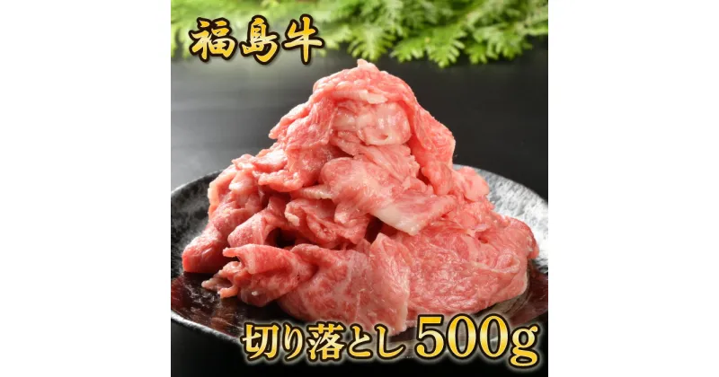 【ふるさと納税】福島牛切り落とし　500g