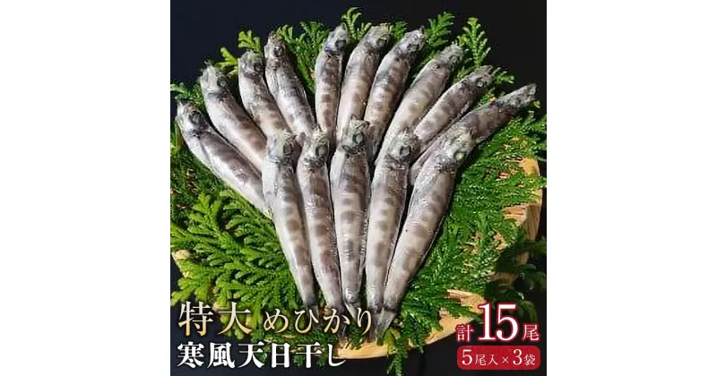 【ふるさと納税】特大めひかり寒風天日干し　15尾