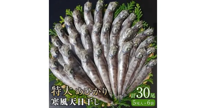 【ふるさと納税】特大めひかり寒風天日干し　30尾