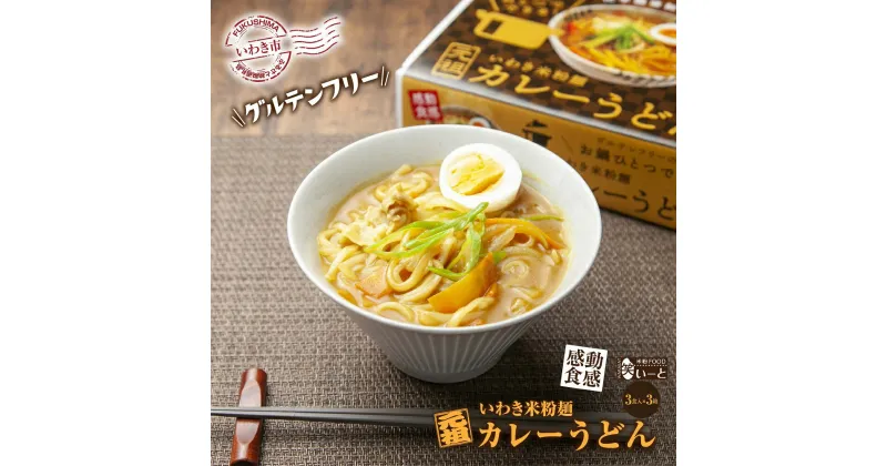 【ふるさと納税】【グルテンフリー】いわき米粉麺カレーうどん　3食入×3箱