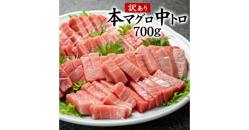 【ふるさと納税】本まぐろ まぐろ 訳あり 中トロ 700g ( 3-5柵 ) 不揃い 刺身 魚 お寿司 海鮮丼 人気 おすすめ 柵 冷凍 トロ 約5-6人前 まぐろ処一条