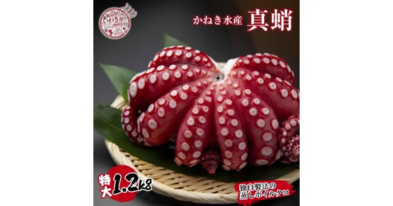 【ふるさと納税】真蛸（蒸しボイルたこ）大1.2kg！　調理簡単で便利！おかずの一品やお酒のお供に！水産加工会社直送！