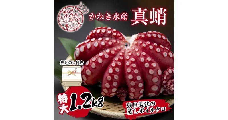 【ふるさと納税】【無地熨斗付き】真蛸(蒸しボイルたこ)大1.2kg！　調理簡単で便利！おかずの一品やお酒のお供に！