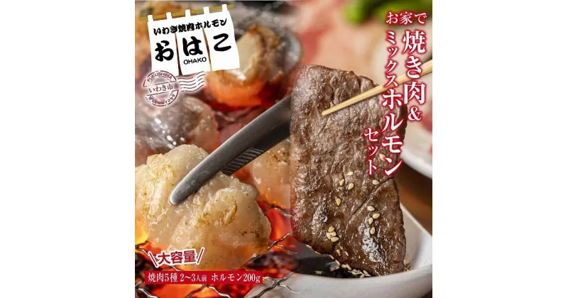 【ふるさと納税】【味付き焼肉セット】＆【新鮮ホルモン】食べ比べ　専門店焼肉セット2～3人前！とミックスホルモンセット