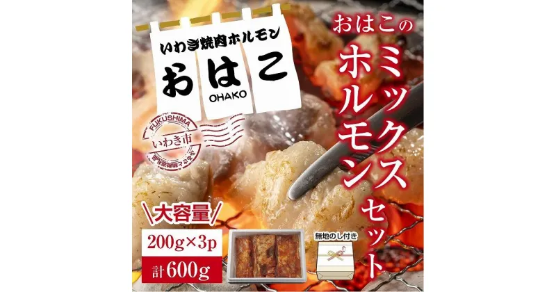 【ふるさと納税】ギフト用【無地熨斗】【新鮮ホルモン焼肉】焼肉専門店よりお届け！おはこミックスホルモンセット600g！