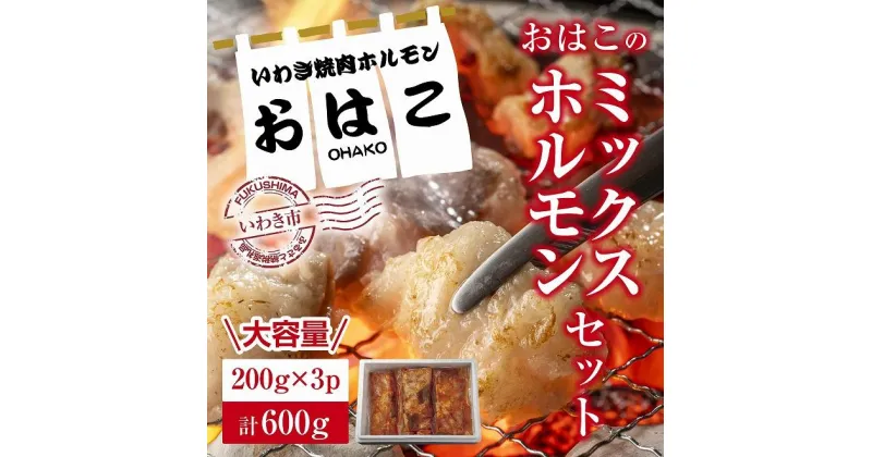 【ふるさと納税】【新鮮ホルモン焼肉】焼肉専門店よりお届け　本格ホルモンをご自宅で！　ミックスホルモンセット600g！