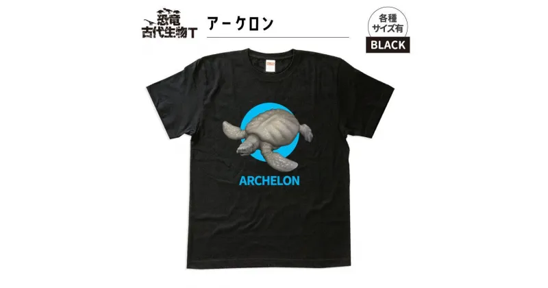 【ふるさと納税】恐竜・古代生物Tシャツ　アーケロン001　