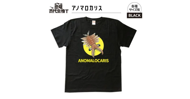 【ふるさと納税】恐竜・古代生物Tシャツ　アノマロカリス 003