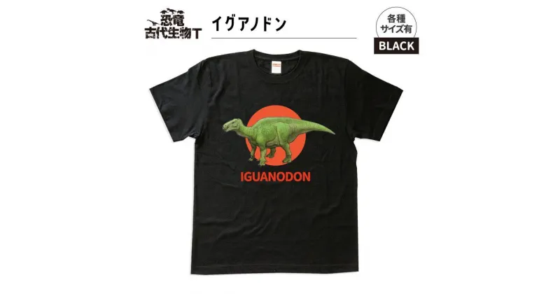 【ふるさと納税】恐竜・古代生物Tシャツ　イグアノドン 008