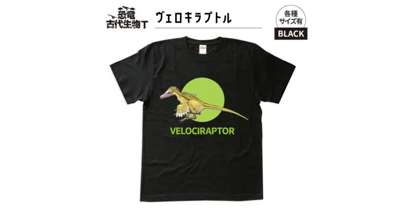 【ふるさと納税】恐竜・古代生物Tシャツ　ヴェロキラプトル 010