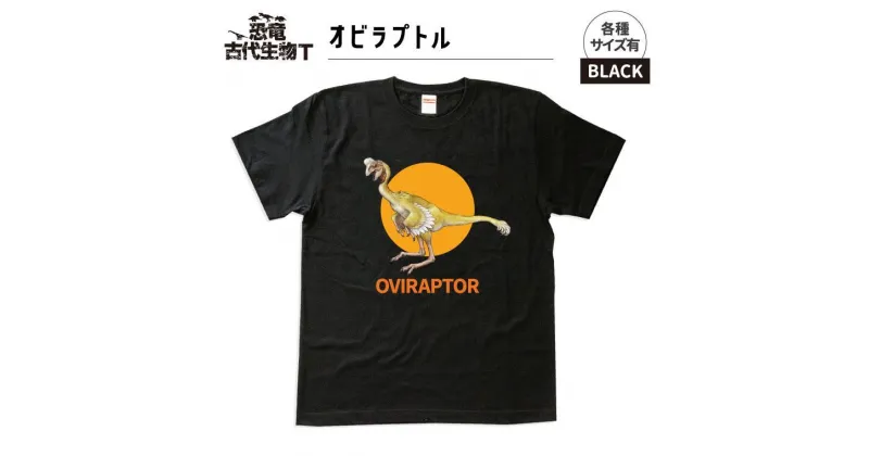 【ふるさと納税】恐竜・古代生物Tシャツ　オビラプトル 013