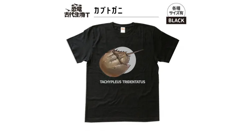 【ふるさと納税】恐竜・古代生物Tシャツ　カブトガニ 014