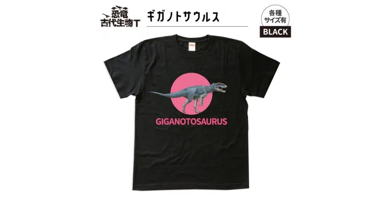 【ふるさと納税】恐竜・古代生物Tシャツ　ギガノトサウルス 016