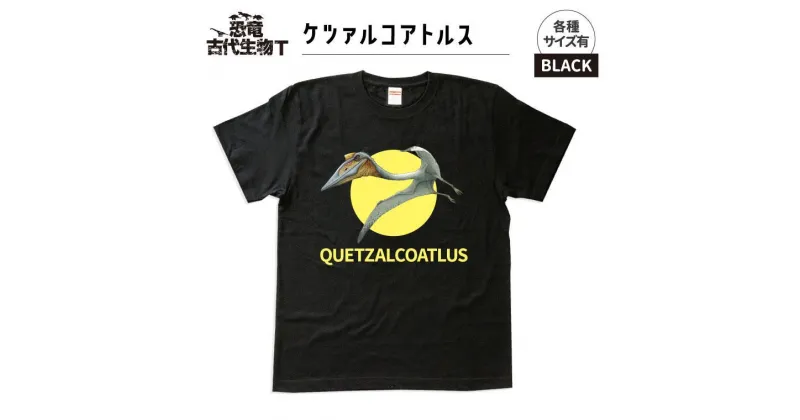 【ふるさと納税】恐竜・古代生物Tシャツ　ケツァルコアトルス 018