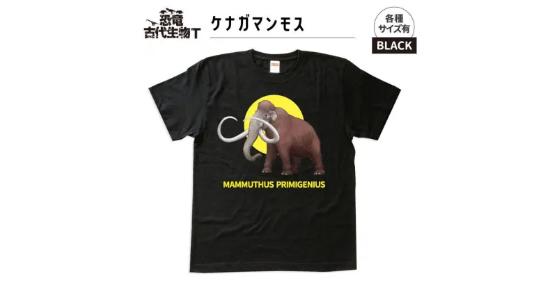 【ふるさと納税】恐竜・古代生物Tシャツ　マンモス 019