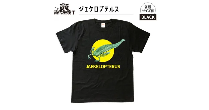 【ふるさと納税】恐竜・古代生物Tシャツ　ジェケロプテルス 023