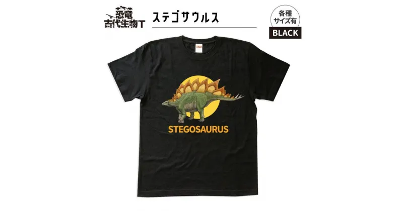 【ふるさと納税】恐竜・古代生物Tシャツ　ステゴサウルス 025