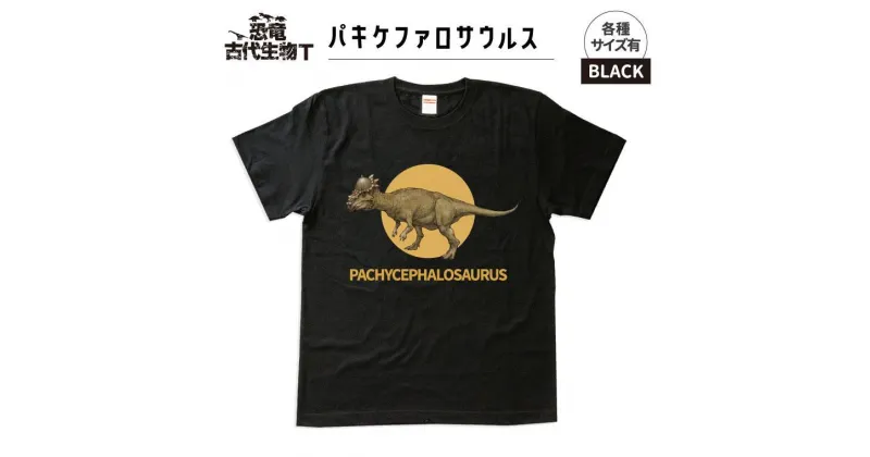 【ふるさと納税】恐竜・古代生物Tシャツ　パキケファロサウルス 036