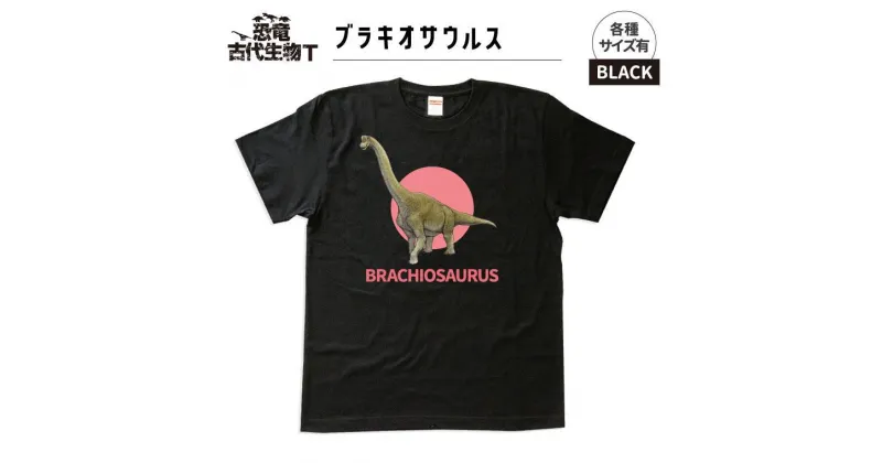 【ふるさと納税】恐竜・古代生物Tシャツ　ブラキオサウルス 043