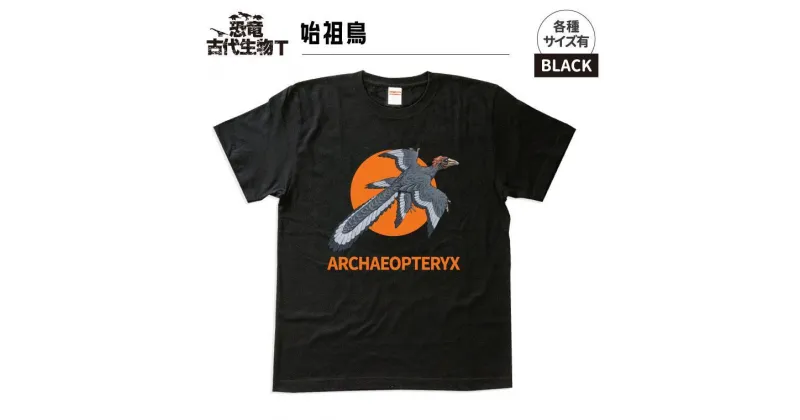 【ふるさと納税】恐竜・古代生物Tシャツ　始祖鳥 049