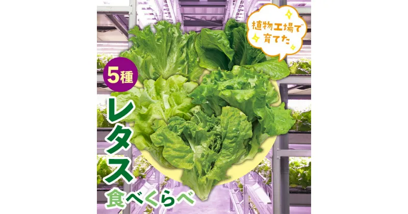 【ふるさと納税】植物工場で育てた5種のレタス食べくらべセット 10パック F23R-784