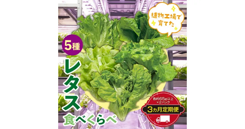 【ふるさと納税】定期便 3ヶ月連続 植物工場で育てた5種のレタス食べくらべセット 10パック F23R-785