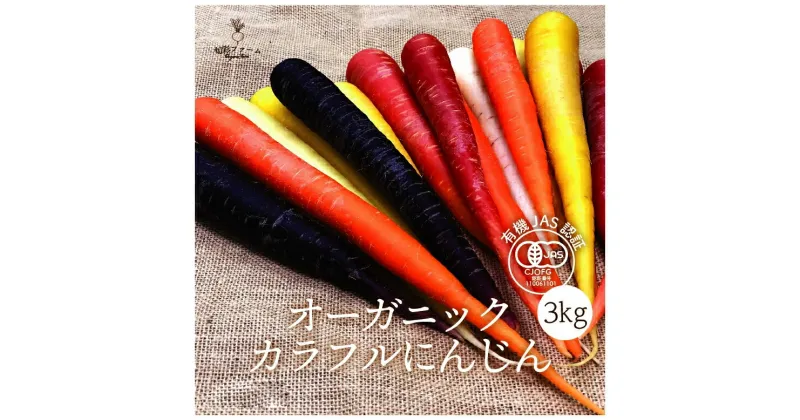 【ふるさと納税】都内マルシェで人気のお野菜！ 〈有機JAS認証〉カラフルにんじん 3kg F21R-197